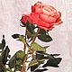 Розы "Кахала" из холодного фарфора. Цветы. Ирина Раншакова (ranshakova). Интернет-магазин Ярмарка Мастеров.  Фото №2