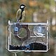 A bird feeder made of wood and acrylic on glass `Camera`
