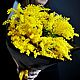 Букет Мимозы большой Живые цветы на 8 марта. Подарки на 8 марта. DARK FLORIST Флористика Декор ЦВЕТЫ. Интернет-магазин Ярмарка Мастеров.  Фото №2