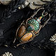 Brooch-pin: ' Scarabaeidae '. Brooches. House Of The Moon Dew. My Livemaster. Фото №5