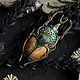  " Scarabaeidae ". Брошь-булавка. Valeria Belova (Дом Лунной Росы). Ярмарка Мастеров.  Фото №5