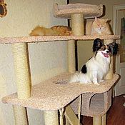 Зоотовары handmade. Livemaster - original item Big house for cats to buy. Suitable for LARGE cats. Handmade.