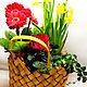 Аранжировка "Весна пришла 3" цветы первоцветы на 8 марта, Растения, Москва,  Фото №1