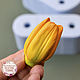 Silicone soap mold Tulip 'Apricot' type B, Form, Zheleznodorozhny,  Фото №1