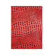 Document folder A4 Red Caiman, Folder, Moscow,  Фото №1