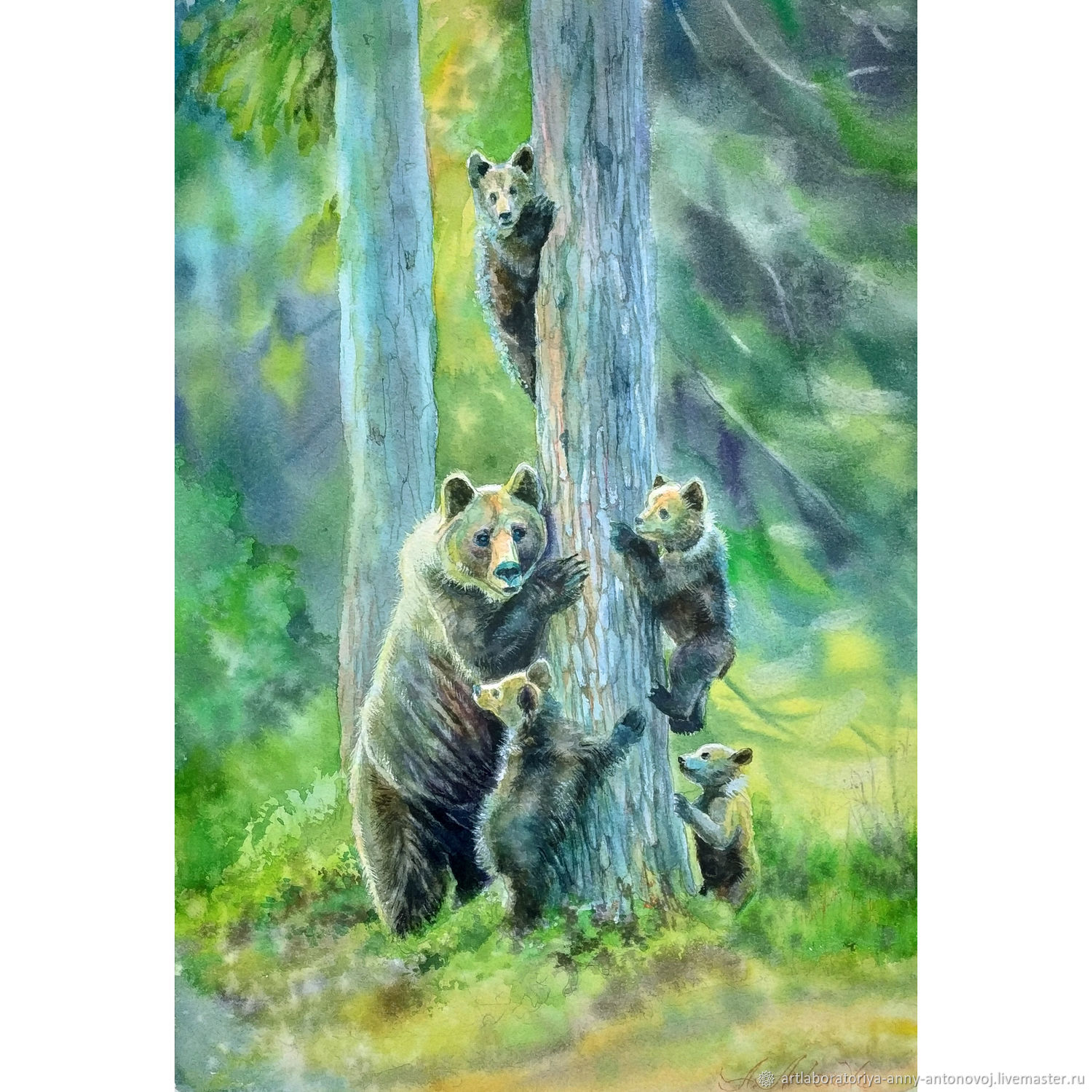 Милые медвежата для срисовки - 49 фото