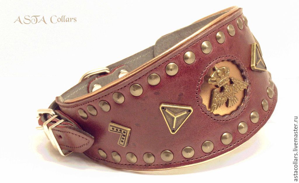 Ошейник для левретки. Ошейники для борзых. Ошейник dogger красный кожаный. Ошейник для борзых собак active comfort. Ошейник зоомастер 053045 45 см.