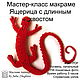 Мастер-класс макраме Ящерица с длинным хвостом, Мастер-классы, Нижний Новгород,  Фото №1