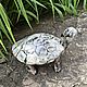 Шкатулка керамическая : Черепашка Тиха, Шкатулки, Сочи,  Фото №1