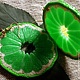 Серьги из полимерной глины КИСЛО РОТ. Серьги классические. Татьяна Паршикова (seventh-heaven). Интернет-магазин Ярмарка Мастеров.  Фото №2