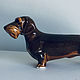New Dachshund Wire-Haired Faience, Figurines, Sergiev Posad,  Фото №1