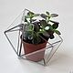 The Floriana. Geometric icosahedron Floriana silver. Florariums. Glass Flowers. Online shopping on My Livemaster.  Фото №2