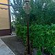 Кованый фонарь. Пруды и фонтаны. Шкодин Дмитрий (Shkodin). Ярмарка Мастеров.  Фото №6