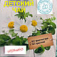 Травяной чай для детей. Травы. ТРАВЯНКА. Интернет-магазин Ярмарка Мастеров.  Фото №2