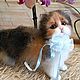  Котенок из шерсти. Войлочная игрушка. Марина Михайлова -Шерстяное Чудо (woolmiracle). Ярмарка Мастеров.  Фото №14