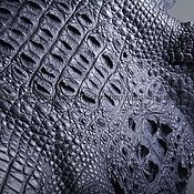 Материалы для творчества handmade. Livemaster - original item Crocodile skin, whole skin, back/hornback, width from 20 to 87 cm. Handmade.