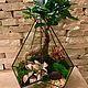 Флорариумы Тиффани. Флорариумы. Florariumstyle. Ярмарка Мастеров.  Фото №5