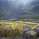 Oil painting 'Sunny Meadow', Pictures, Gelendzhik,  Фото №1