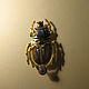 Заказать Брошь № 2 СКАРАБЕЙ. Brooch № 2 SCARAB. Сергей Август (AugS). Ярмарка Мастеров. . Брошь-булавка Фото №3