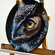 Painting 'Owl' oil on canvas D40 cm. Pictures. vestnikova. Online shopping on My Livemaster.  Фото №2