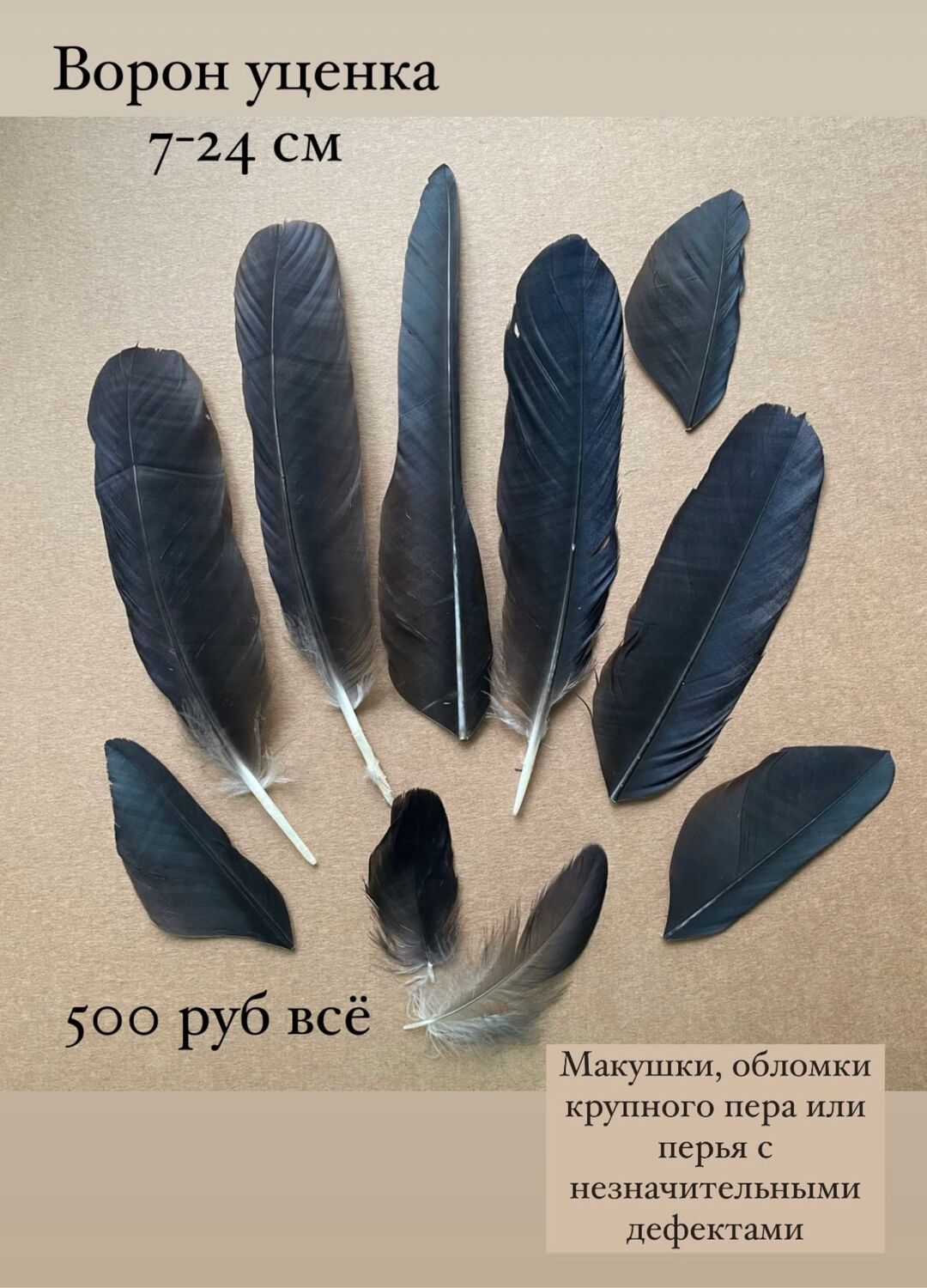 Перья вОрона уценка (наборы разные) купить в интернет-магазине Ярмарка ...