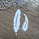 !Cutting for scrapbooking, Feathers, feathers, set of 2 pieces, diz cardboard, Scrapbooking cuttings, Mytishchi,  Фото №1