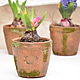Маленькие горшочки из бетона Shabby stone, для растений и флористики. Кашпо. A Z O V   G A R D E N. Ярмарка Мастеров.  Фото №6
