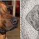 Портрет собаки в стиле стринг арт. Стринг-арт. String Art. Интернет-магазин Ярмарка Мастеров.  Фото №2