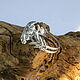 Elven silver ring with quartz 'Nenia'. Rings. Unusual Gemstone Jewelry. My Livemaster. Фото №5