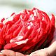 Войлочная брошь "Red Dahlia". Брошь-булавка. Дизайнерский эксклюзив от Ирины Федотовой.. Ярмарка Мастеров.  Фото №5