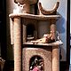 A complex for cats with a kennel for a dog. Scratching Post. Workshop for dogs and cats. Online shopping on My Livemaster.  Фото №2