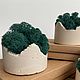 Декоративное кашпо со стабилизированным мхом. Элементы интерьера. Dream Craft. Ярмарка Мастеров.  Фото №4