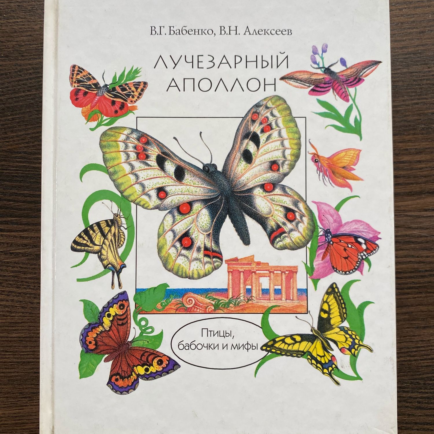 Большая книга «Бабочки»
