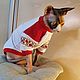 Cat clothes costume in 'Russian folk style ', Pet clothes, Biisk,  Фото №1
